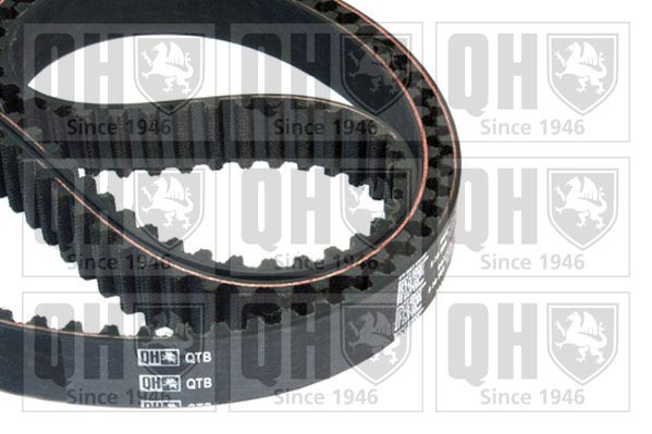 Correa de distribución Hyundai/Kia 92063917